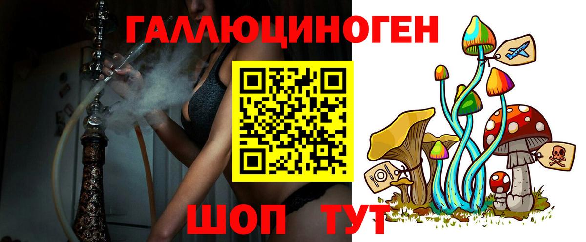 купить  сайты  Галлюциногенные грибы Psilocybe  Гурьевск  Вход с VPN  Галлюциногенные грибы Psilocybe 